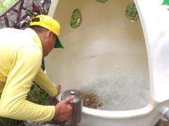 -100蛋泥浆浴