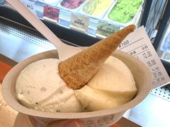 -极拉图·现制冰淇淋(大卫城店)