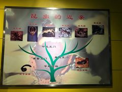 -上海昆虫博物馆