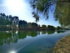 -马家湾湿地公园
