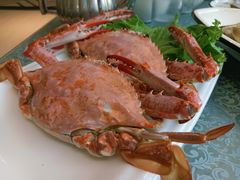 -韩记海鲜饺子旗舰店(红海新区店)