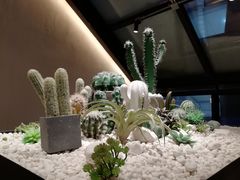 景观位-大树餐厅(红旗街万达店)