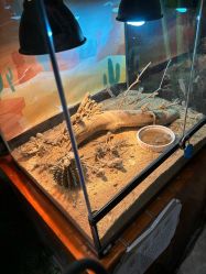 -酷嗒动物文化乐园(cutezoo西溪乐天城店)