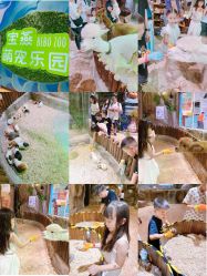 -宝燕乐园(闵行旗舰店)