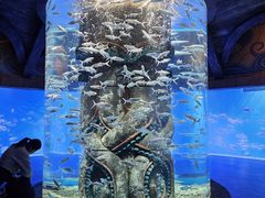 -哈尔滨波塞冬海底世界