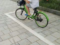 -野狸岛