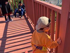 -燕塞湖鸟语林景区