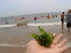 -北戴河东海水浴场