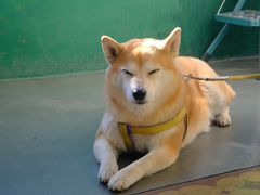 -大碗岛咖啡·苍山绝美窗景(大理古城步行街七年品牌店)