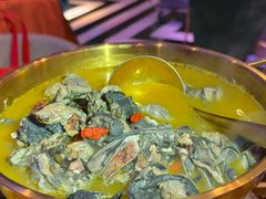 -Darling Queen·Mini·Live·House