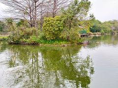 -海珠湖公园