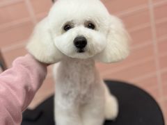 -FAELING PETS美天灵宠物(合生汇店)