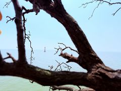 -巢湖姥山岛