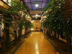 -小江南(老洋桥店)