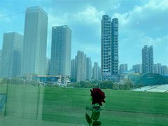 -红顶食府(滨湖九号店)