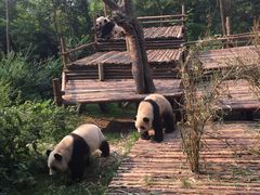 丹麦红豆面包-好利来(四惠店)