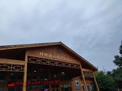 -日照海滨国家森林公园