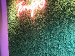 -TEMPO 音乐(五角场店)