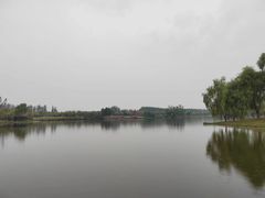 -东郊湿地公园