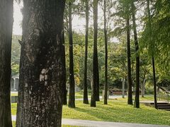 -四海公园(南山区)