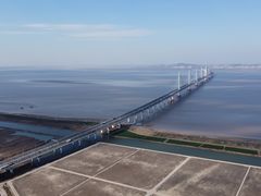 -杭州湾海上花田景区