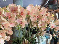 -八府香鸭·啫啫煲(华山路店)