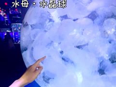 -正佳极地海洋世界