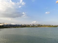 -贡湖湾湿地公园