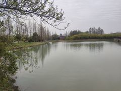 -苏州太湖国家湿地公园