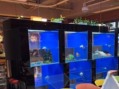 -蚝翅·海鲜粥·烧烤·龙虾季(海曙天一店)