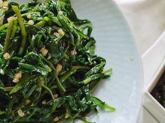 -食家鸽园