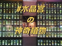 -广东中医药博物馆
