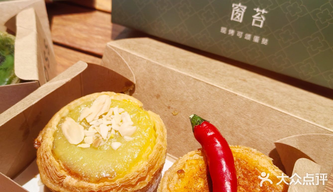 家门口的窗苔，再不用羡慕别人了～