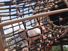 -枫香湖儿童公园