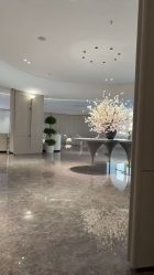 -广州美莱医疗美容医院