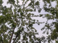 -中国农业博物馆