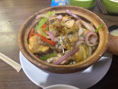 啫啫牛蛙煲-绿柠食堂(北外滩店)