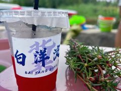-白洋淀景区