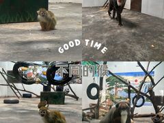 -西安秦岭野生动物园