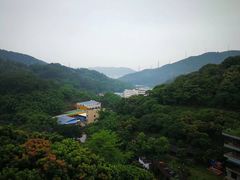 -广州市帽峰山景区