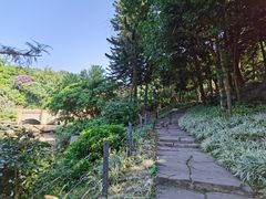 -云溪植物园