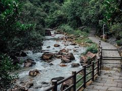 -广州白江湖森林公园