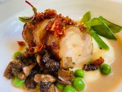 -蝶舍·MAISON PAPILLON