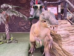 -陕西自然博物馆