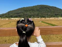 -艾米稻香小镇