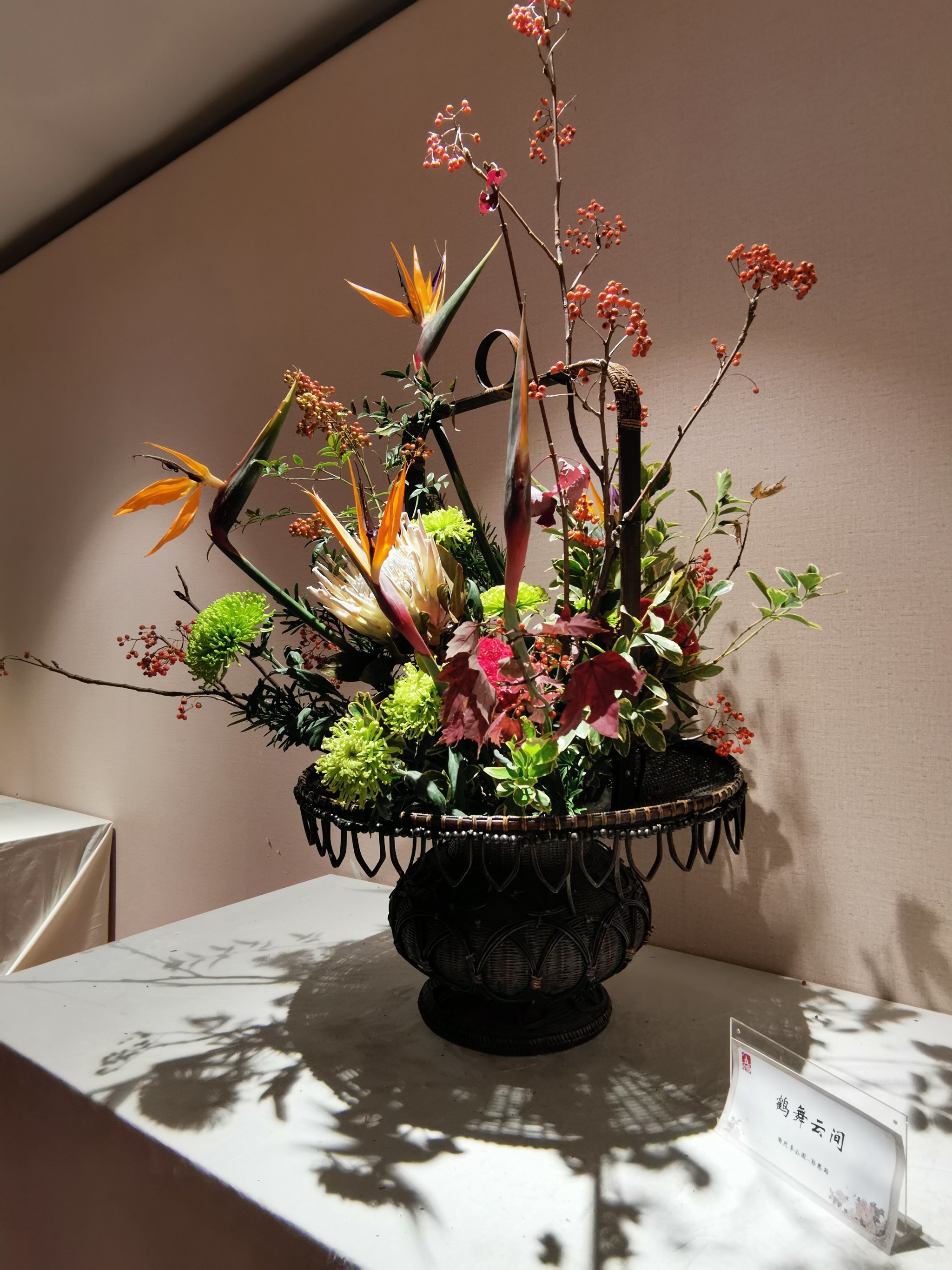 北海公园插花展