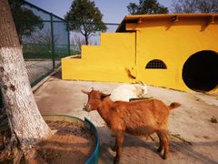 -上海滴水湖皇冠假日酒店