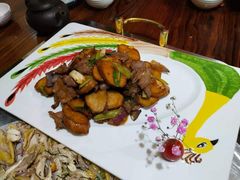 -食德喜·阳山鸡王食研基地
