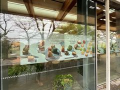-雪绿茶博物馆