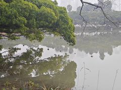 -江心屿景区